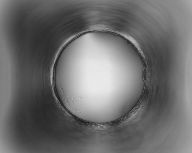 X0000093460815200711091548