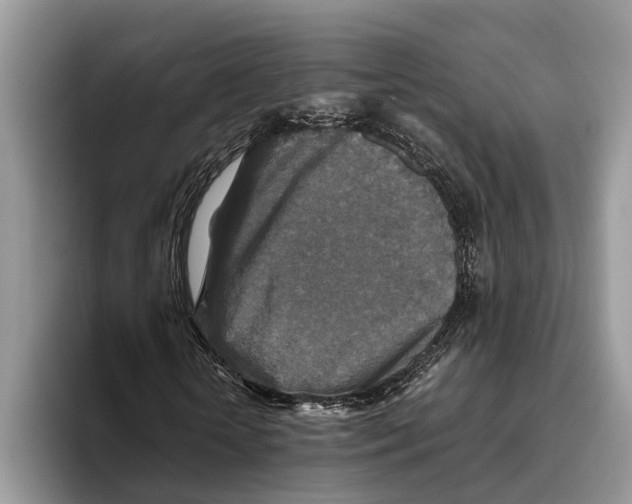 X0000093460818200711091548