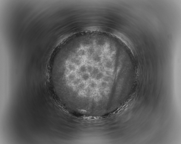 X0000093460823200711091548