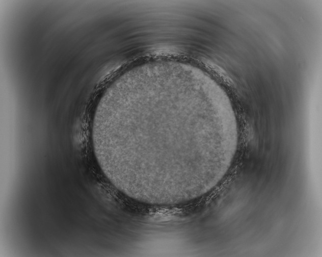 X0000093460824200711091548