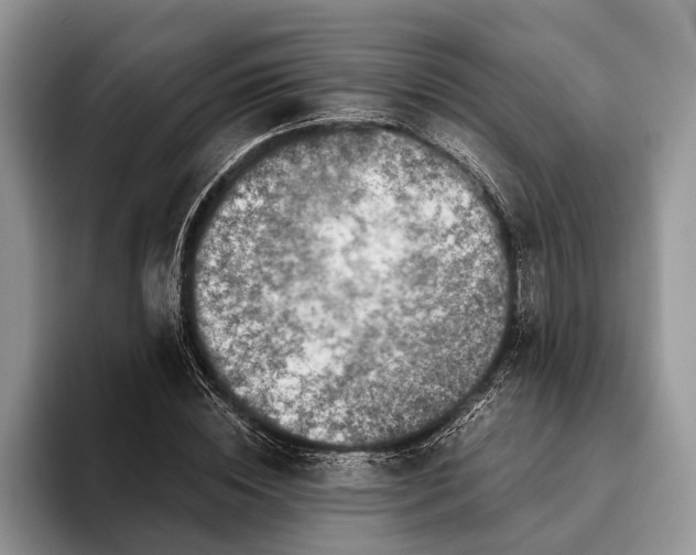 X0000093460828200711091548