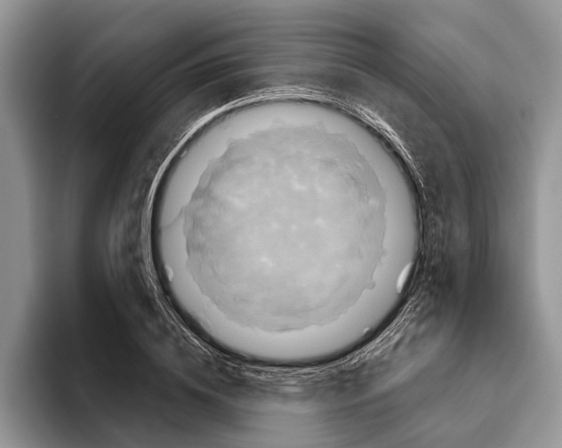 X0000093460836200711091548