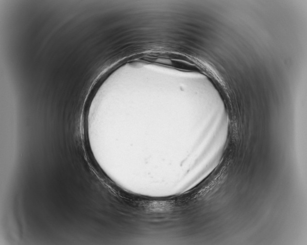 X0000093460839200711091548