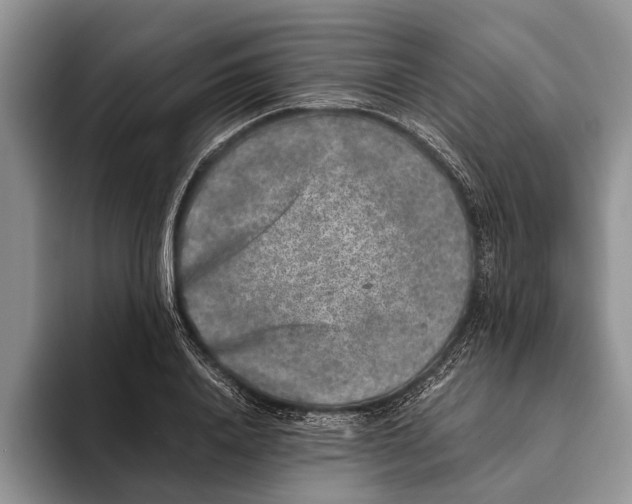 X0000093460840200711091548