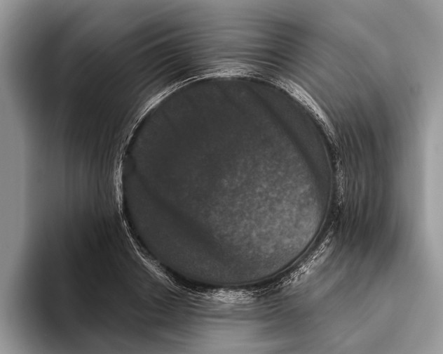 X0000093460842200711091548