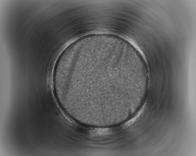X0000093460845200711091548