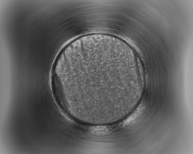 X0000093460846200711091548
