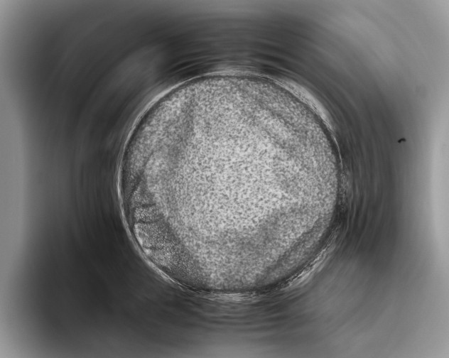 X0000093460855200711091548