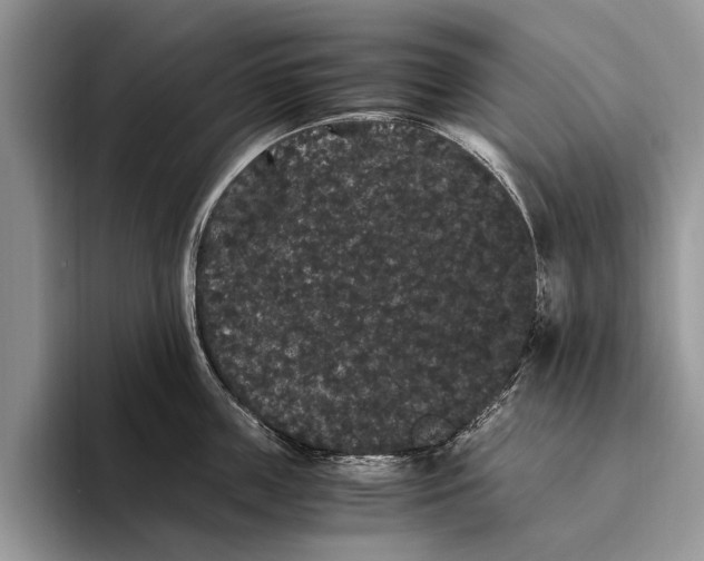 X0000093460859200711091548