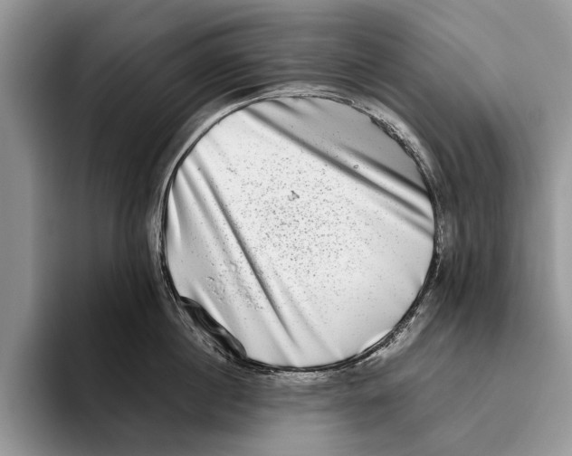 X0000093460860200711091548