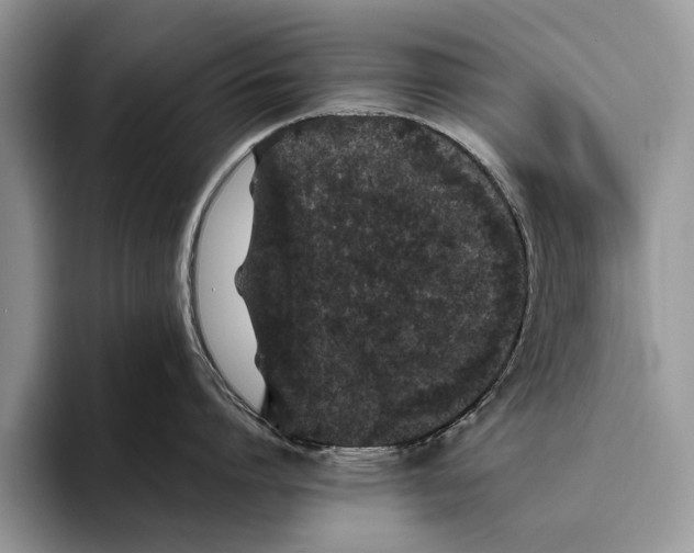 X0000093460864200711091548