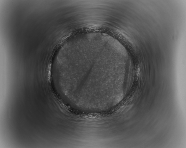 X0000093460868200711091547