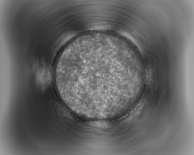 X0000093460874200711091547