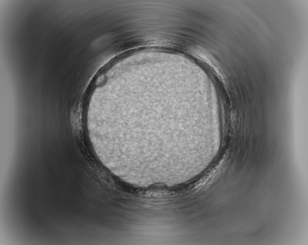X0000093460875200711091547