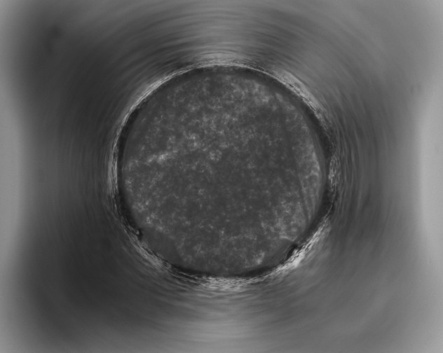 X0000093460877200711091547