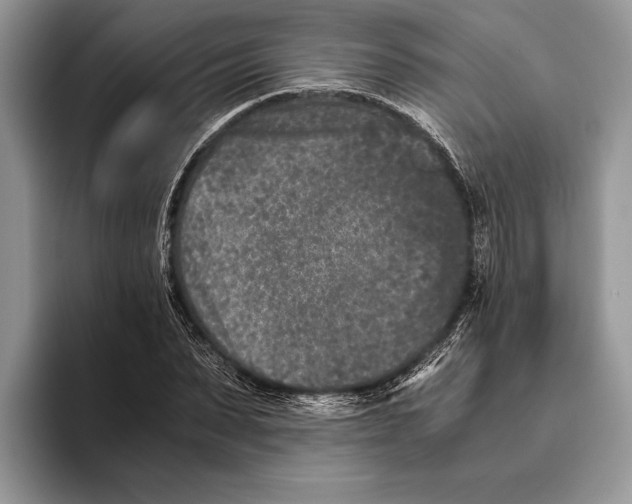 X0000093460879200711091547