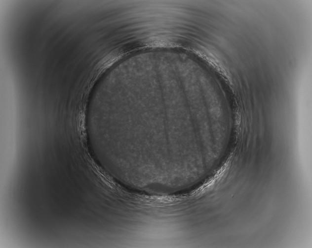 X0000093460881200711091547