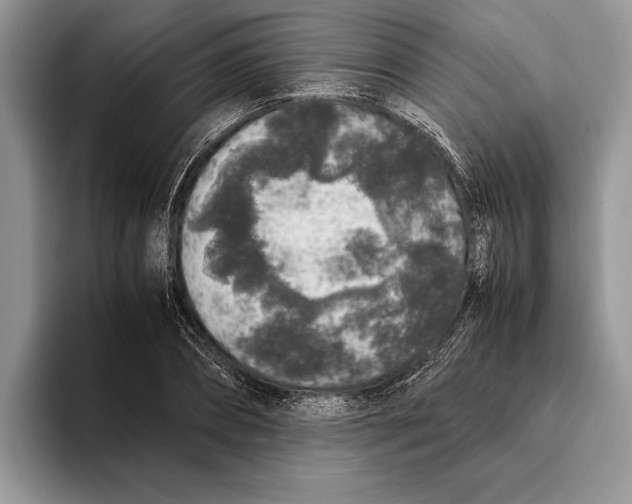 X0000093460882200711091547