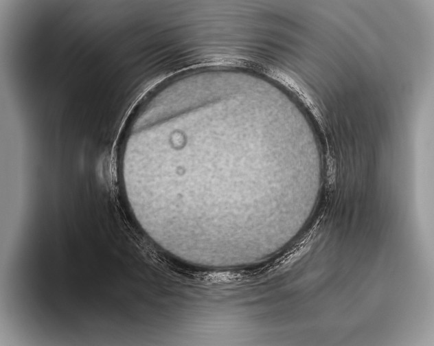 X0000093460883200711091547