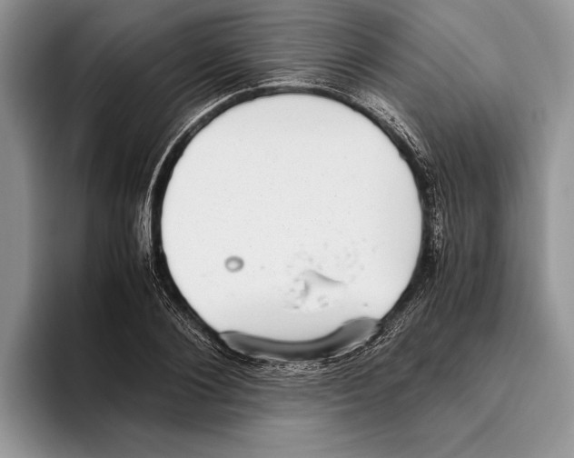 X0000093460884200711091547