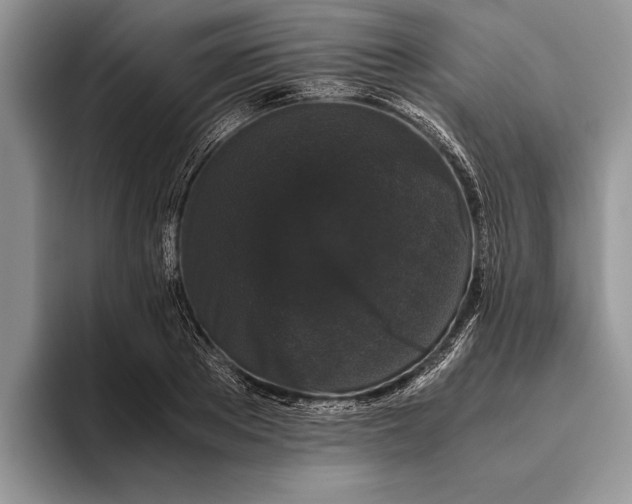 X0000093460889200711091547