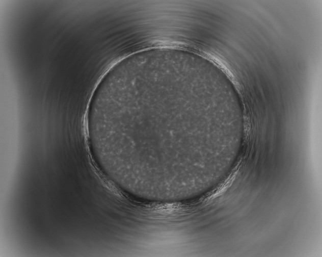 X0000093460891200711091547