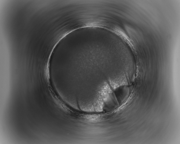 X0000093460892200711091547