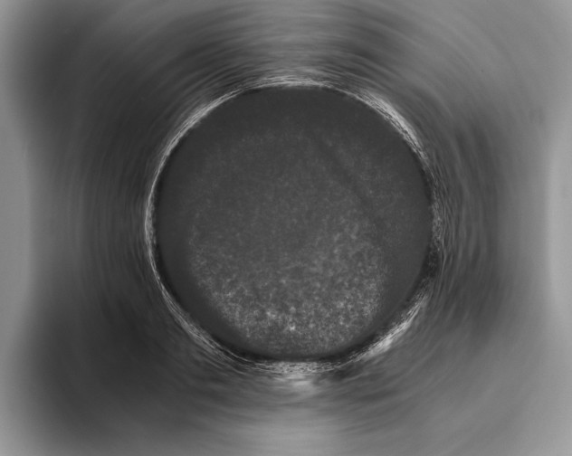 X0000093460893200711091547