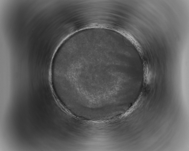 X0000093460896200711091547