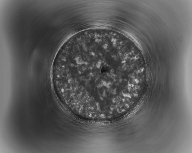 X0000093460899200711091547