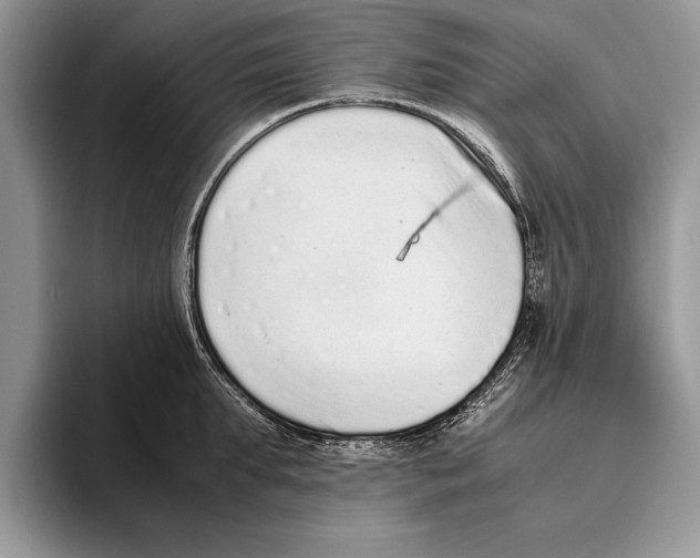X0000093460903200711091547