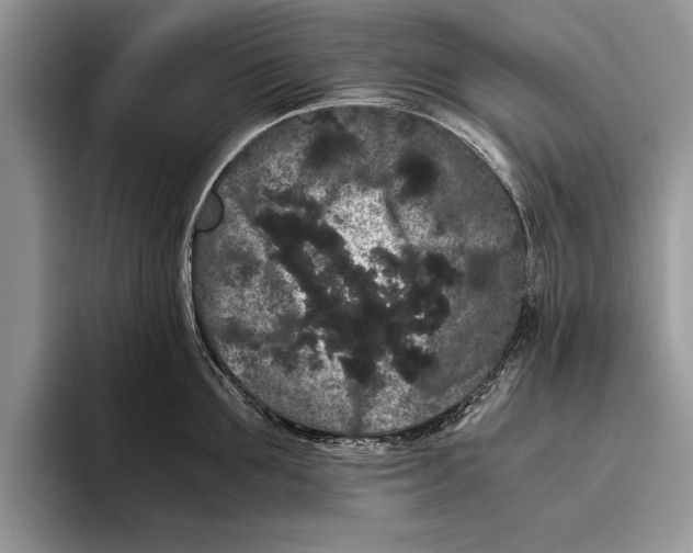X0000093460907200711091547