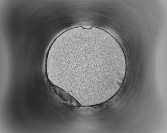 X0000093460912200711091547