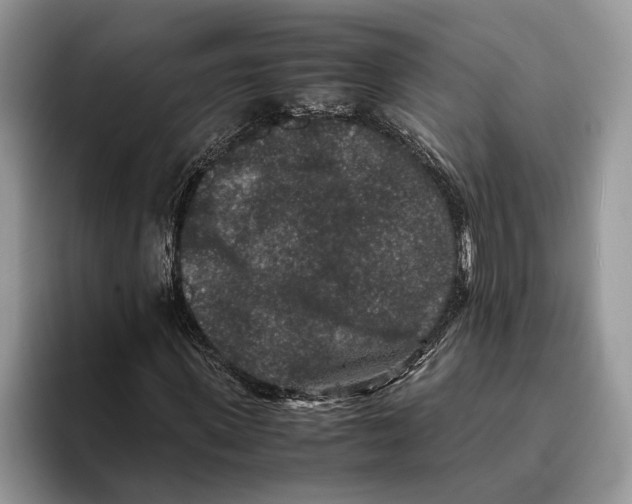 X0000093460915200711091546