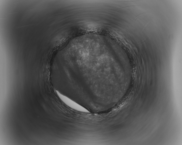 X0000093460916200711091546