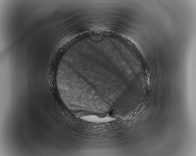 X0000093460919200711091546