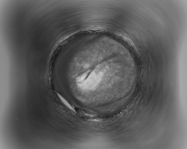 X0000093460920200711091546