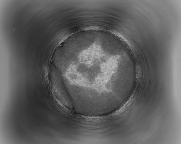 X0000093460921200711091546