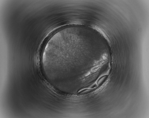 X0000093460923200711091547