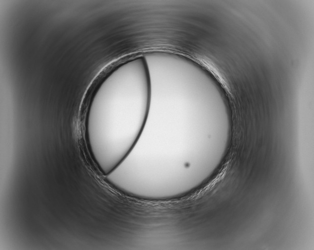 X0000093460924200711091547