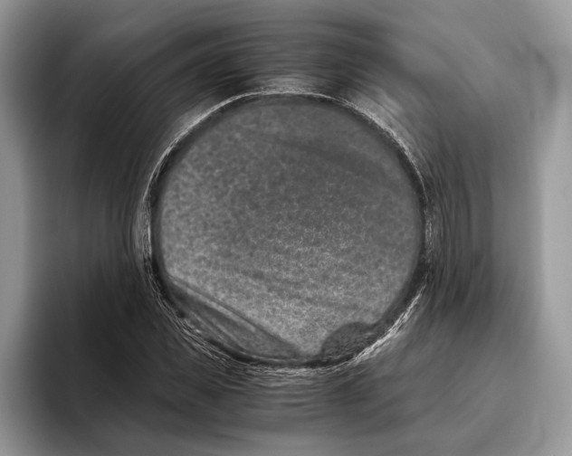 X0000093460925200711091547