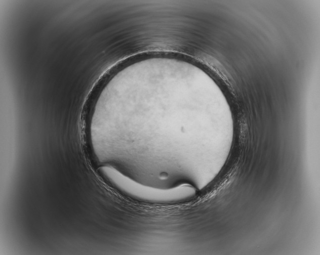 X0000093460926200711091547