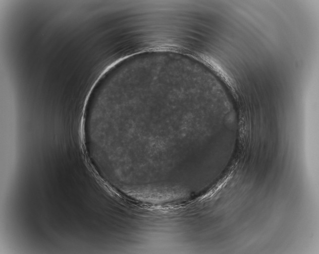 X0000093460932200711091547