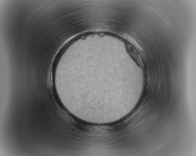 X0000093460934200711091547