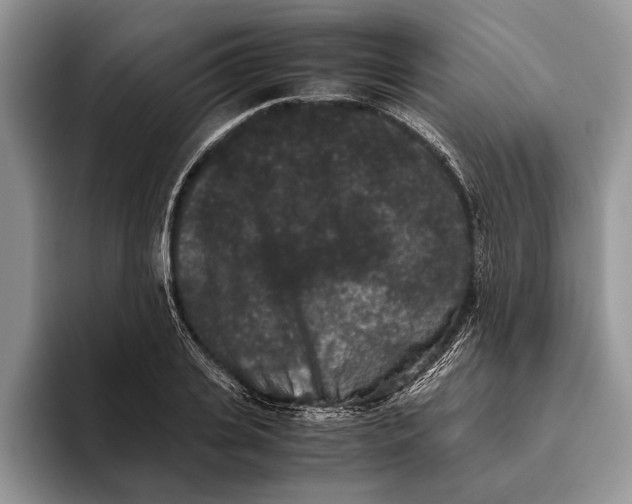 X0000093460935200711091547