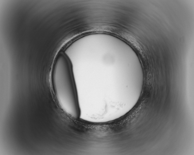 X0000093460936200711091547