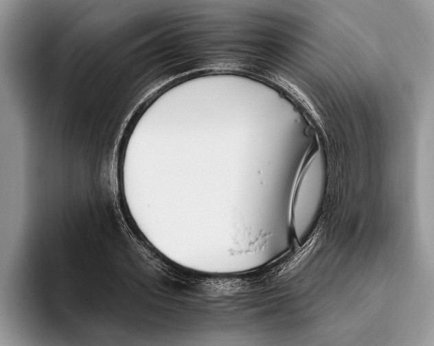 X0000093460939200711091547