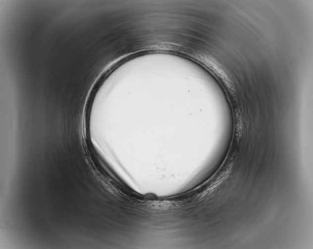 X0000093460940200711091547