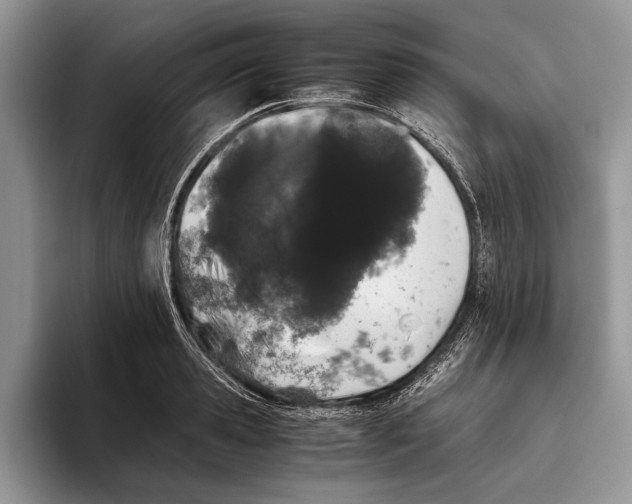 X0000093460941200711091547