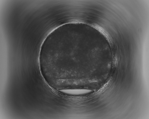 X0000093460943200711091547